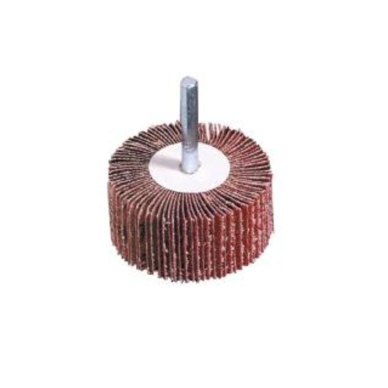Disque à lamelles abrasives