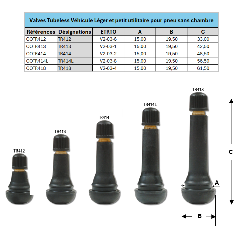 10 Valves TR pour roue
