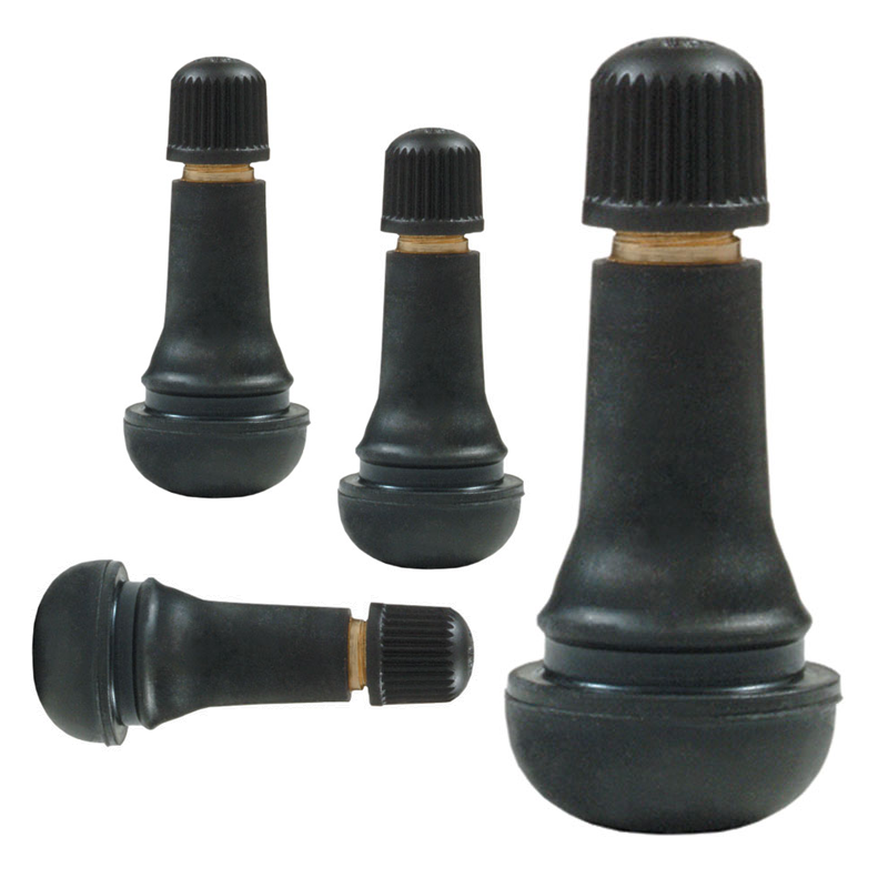 10 Valves TR pour roue