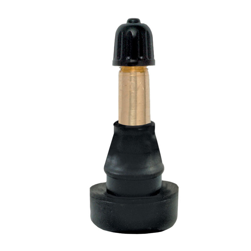 Sachet de 10 valves pour véhicule utilitaire