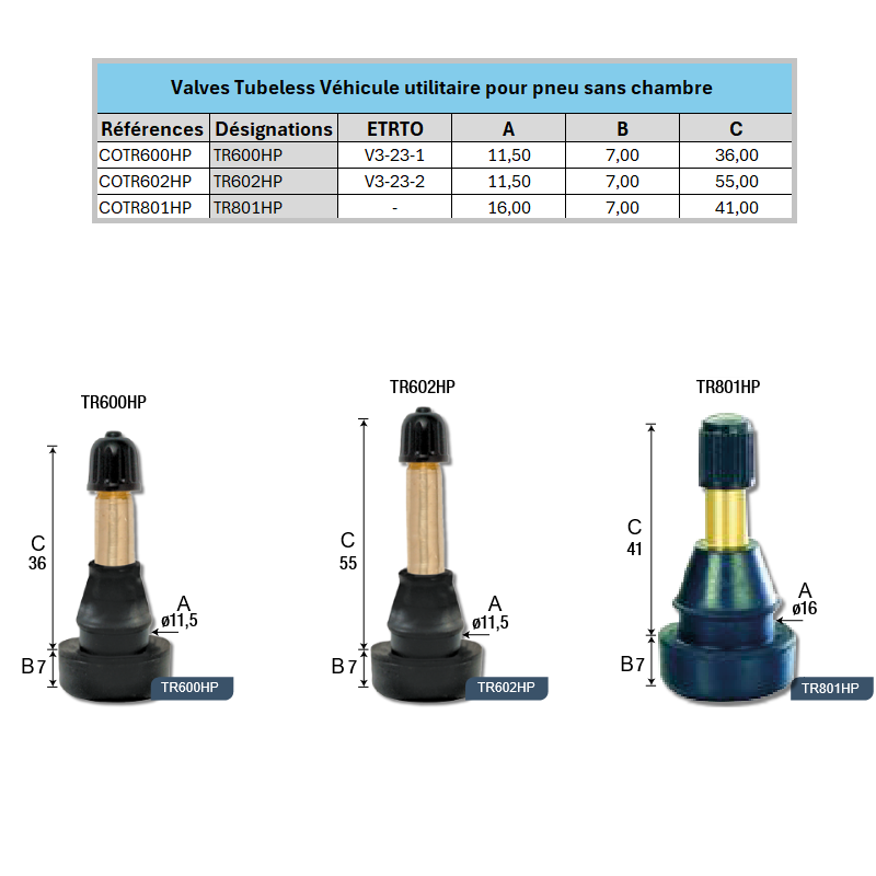 Sachet de 10 valves pour véhicule utilitaire
