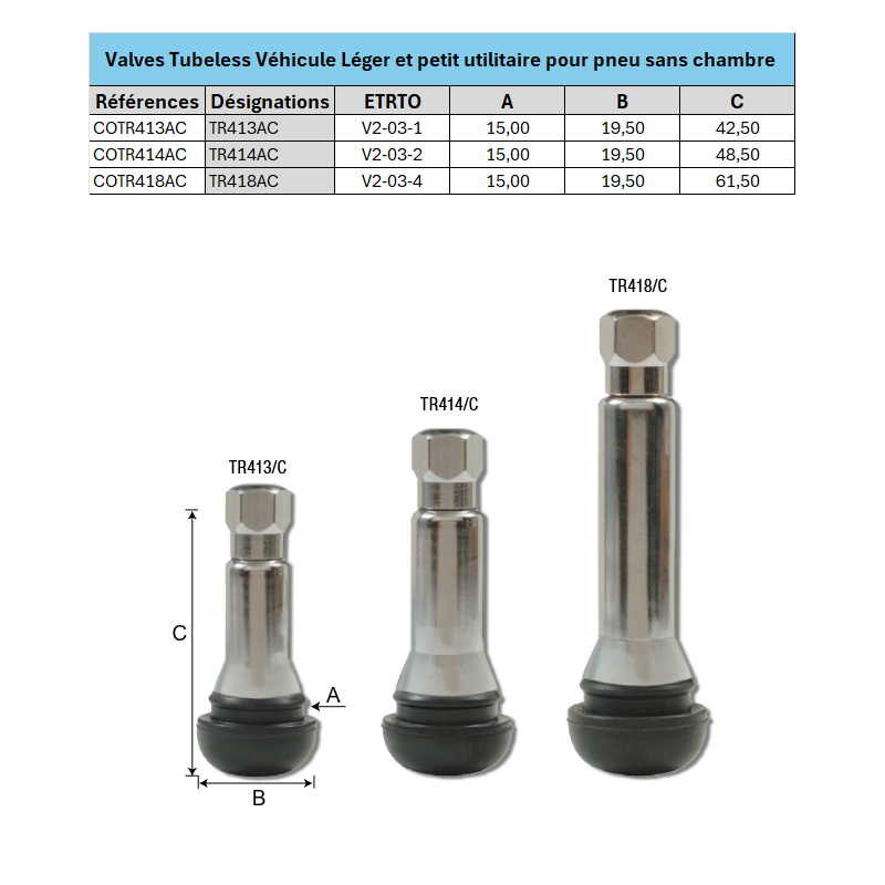 Sachet de 10 valves AC pour roue